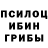 Псилоцибиновые грибы прущие грибы NightBlox