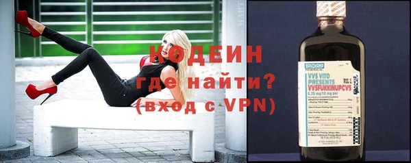 хмурый Пересвет