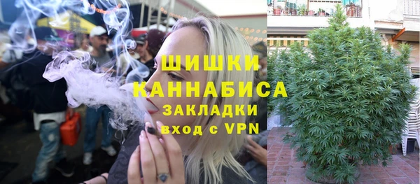 молекула духа Пестово