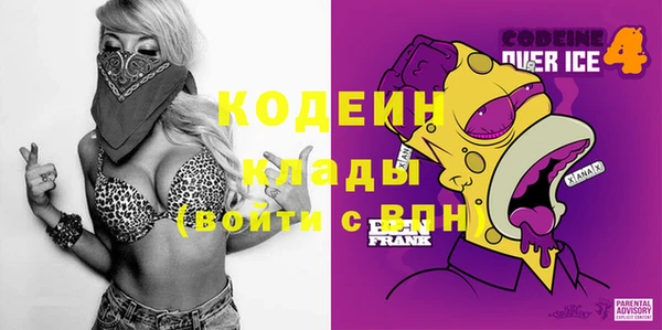 молекула духа Пестово
