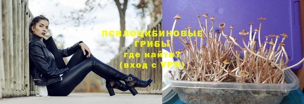 a pvp Аркадак